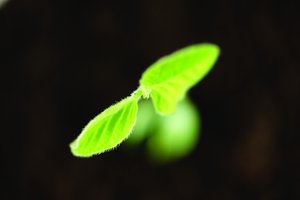 2024年笔记本配置新趋势，Intel还是AMD